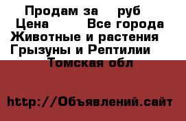 Продам за 50 руб. › Цена ­ 50 - Все города Животные и растения » Грызуны и Рептилии   . Томская обл.